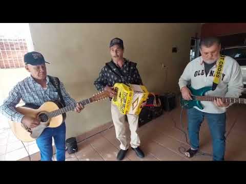 Los pavorreales del norte.- Se va en invierno