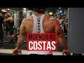 JAPA MORFO - MOENDO AS COSTAS | TREINO COMPLETO