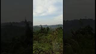 Download lagu instrumen sape musik dayak. indah nya pemandangan hutan di kalimantan mp3 Download lagu instrumen sape musik dayak. indah nya pemandangan hutan di kalimantan mp3