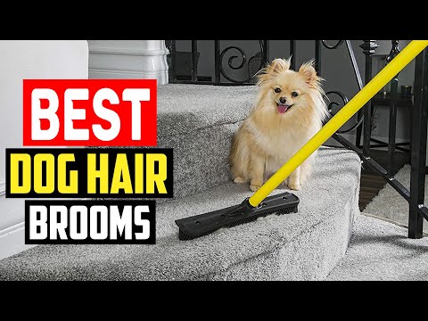 Top 5 Best Dog Hair Brooms in 2022