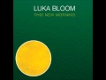Luka Bloom - The Race Runs Me 