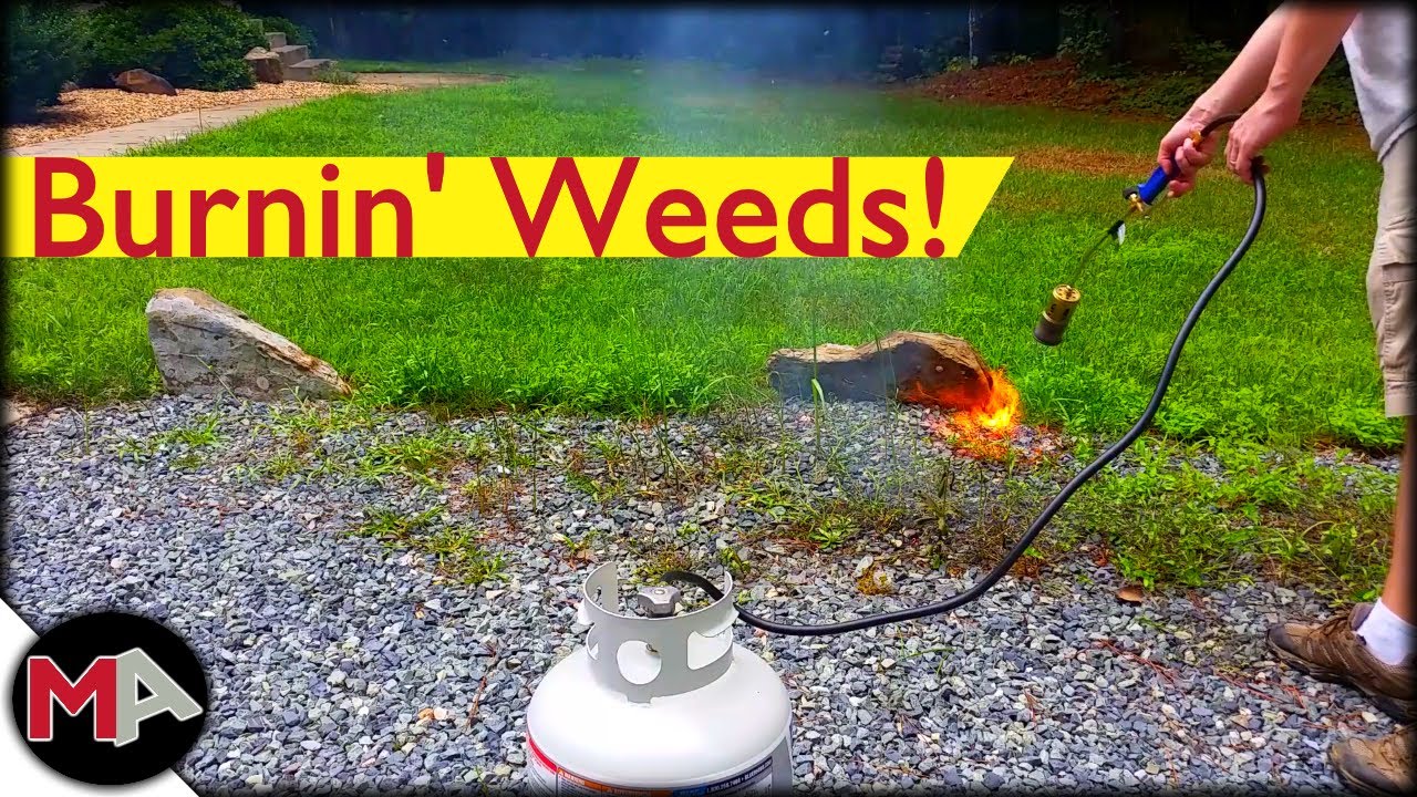 Burning Weeds With A Propane Torch