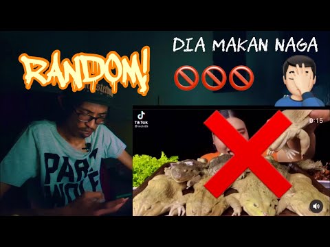 RANDOM! - Slumber Katak Minah Ni Makan Naga! | (FUNNY REACTION)