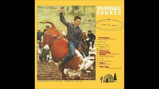 Parquet Courts - Light Up Gold Pt.2