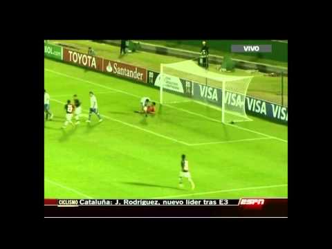 PartidosLeprosos | Libertadores 2014 | Fecha 5 | Nacional 2 - 4 Newell's | Resumen ESPN