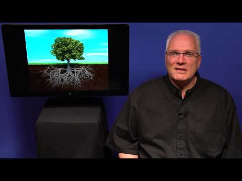 ATEMPAUSE (Sonntag, 16. Juli 2017) „Wie Leben gelingt“ - Psalm 1, 1-6