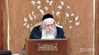 הרה"ג הרב וועכטר שליט"א י"א סיון תשפ"ד - דרך מצוותיך מצוות משא הארון בכתף (הרב אברהם מנחם מענדל וכטר) - התמונה מוצגת ישירות מתוך אתר האינטרנט יוטיוב. זכויות היוצרים בתמונה שייכות ליוצרה. קישור קרדיט למקור התוכן נמצא בתוך דף הסרטון