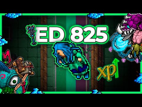 ED 825 Hunt x4 Secret Library Energy Section 8kk/h Raw - Tibia Hunt [13.05] #tibia #tibiahunt