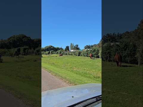 Recorriendo la Ruta 81 Aguas Blancas departamento de Lavalleja