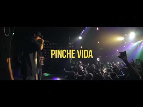 Pinche Vida -Santa grifa