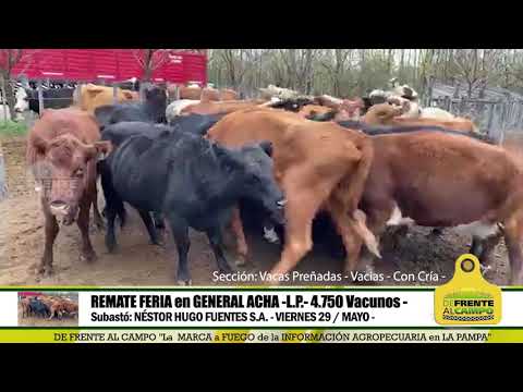 DE FRENTE AL CAMPO junto al SECTOR PRODUCTIVO - NHF S.A. -VIERNES 29 /MAYO-PARTE 4-