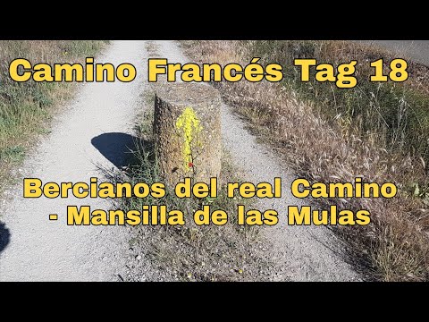 Tag 18 auf dem Jakobsweg: Bercianos del real Camino - Mansilla de las Mulas