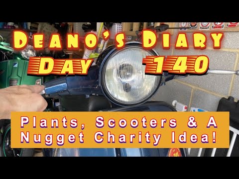 Deano’s Diary Day 140 - Plants & A Charity Nugget Idea