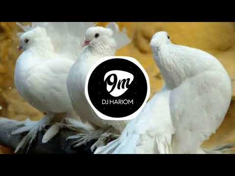 Kabutar Ja Ja Ja - (Dhol Mix) - Unreleased - Dj Abhijeet In The Mix  || DJ HARIOM ||