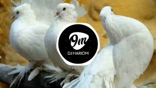 Kabutar Ja Ja Ja - (Dhol Mix) - Unreleased - Dj Abhijeet In The Mix || DJ HARIOM ||