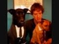 OK GO.wmv