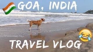 FUNNY ADVENTURE WITH A STREET DOG IN GOA, INDIA 😂🇮🇳 Travel Vlog Ep. 37 | Arambol Beach
