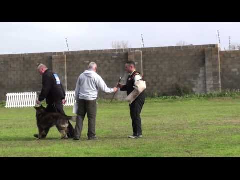 Mike Seddon with Felix von Karhago - C90 IPO 3 SA Nationals 2014