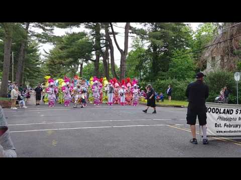 Woodland string band 1