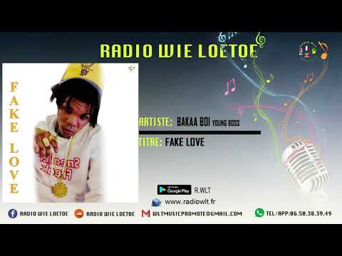 BAKAA BOI (YOUNG BOSS)-FAKE LOVE