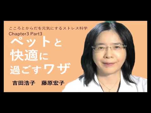 リハビリテーション学科 こころとからだを元気にするストレス科学C3 P3PR動画 藤原先生