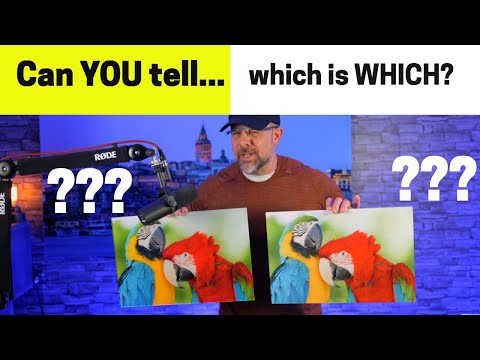 Metal VS Acrylic Prints: MOST Can't tell the difference