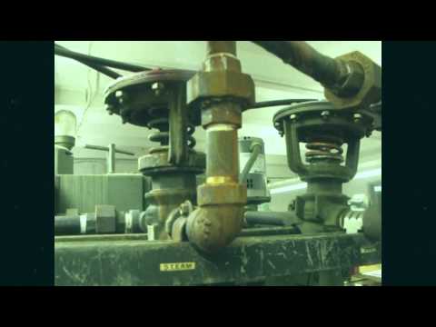 Joey Ramone - Rock 'N Roll Is The Answer