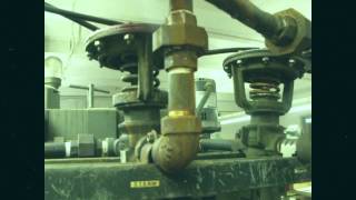 Joey Ramone - Rock &#39;N Roll Is The Answer