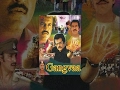 Gangvaa