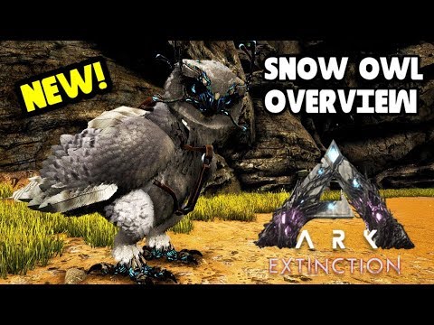 SNOW OWL OVERVIEW! ARK: Extinction