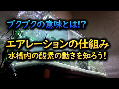 換気とエアレーション: 酸素が芝生に取り込まれる仕組みです。 トピックス