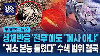 생체반응 '전무'에도 폐사 아냐..귀소 본능 틀렸다 수색 범위 결국 / SBS / 모아보는 뉴스