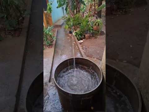 A chuva chegou no sertão de Ibitiara-BA 04/11/25