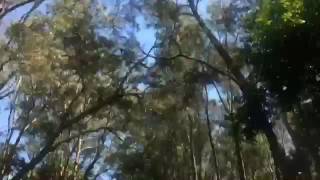 Walk around Byron Yoga Centre with me | Samy Munro