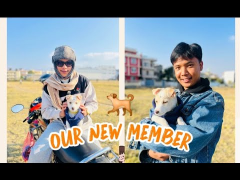 New member in our house DODU 😍 !!