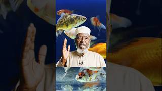 Download lagu Rasuulka S.C.W ayaa yiri qofka aan wax quraan ah aan hayn inuu la mid yahay guri qariban mp3 Download lagu Rasuulka S.C.W ayaa yiri qofka aan wax quraan ah aan hayn inuu la mid yahay guri qariban mp3