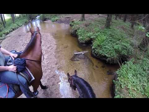 Urlaub Wanderreiten Mühlviertleralm Tag 4