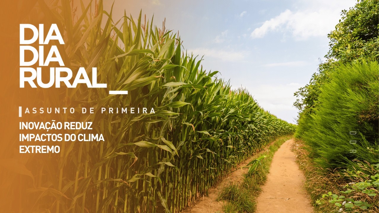 Inovação reduz impactos do clima extremo