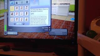 The sims 3 pets! Selling/buying stuff! | Zebras Games