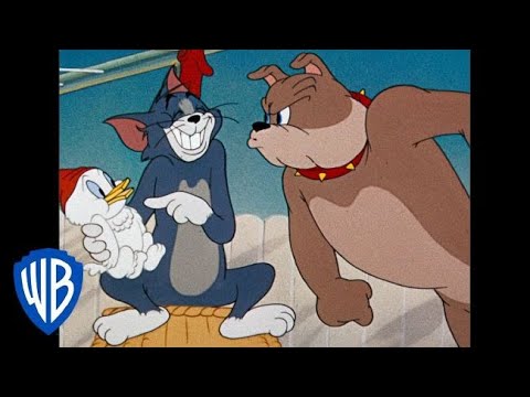 Tom y Jerry en Español | Compilación clásica de dibujos animados | Tom, Jerry y Spike | WB Kids