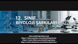 12  Sınıf Biyoloji   Çift döllenme ve tohum oluşumu şarkısı  v 2