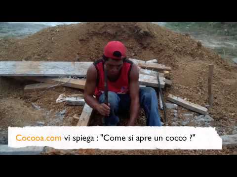 Prezzo di martello di Thor a Mosca Potenza del farmaco di t