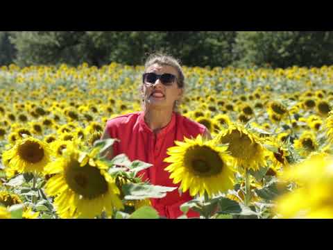 Anna Katt - Cows On The Moon [Official Video]