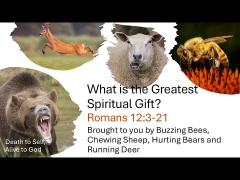 What is the Greatest Spiritual Gift? – Romans 12:3-21