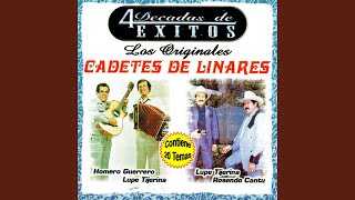 Despedida Con Mariachi