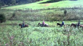 preview picture of video 'Horseback riding at the Shenandoah Riding Center'