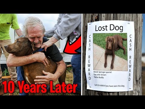 Top 5 LOST DOGS FOUND & REUNITED WITH THEIR OWNERS! Boy Finds Lost Dog After 10 Years, Happy Dog Video