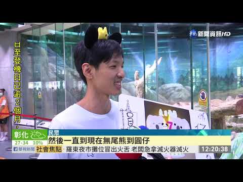 大貓熊圓仔要7歲囉! 猛吃竹子超可愛