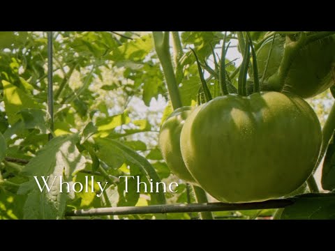 308 SDA Hymnal - Wholly Thine (Singing w/ Lyrics)