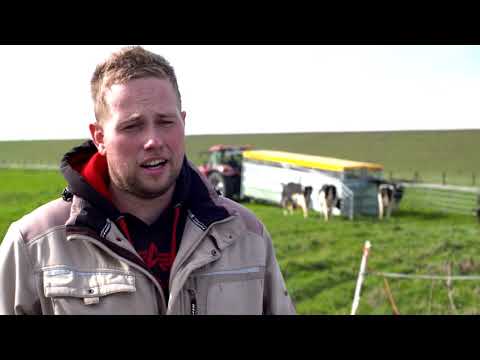 Sicherer Umgang mit Rindern - Sicheres Verladen